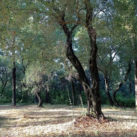 Villa Kefalomandouko Alepou 외부 사진