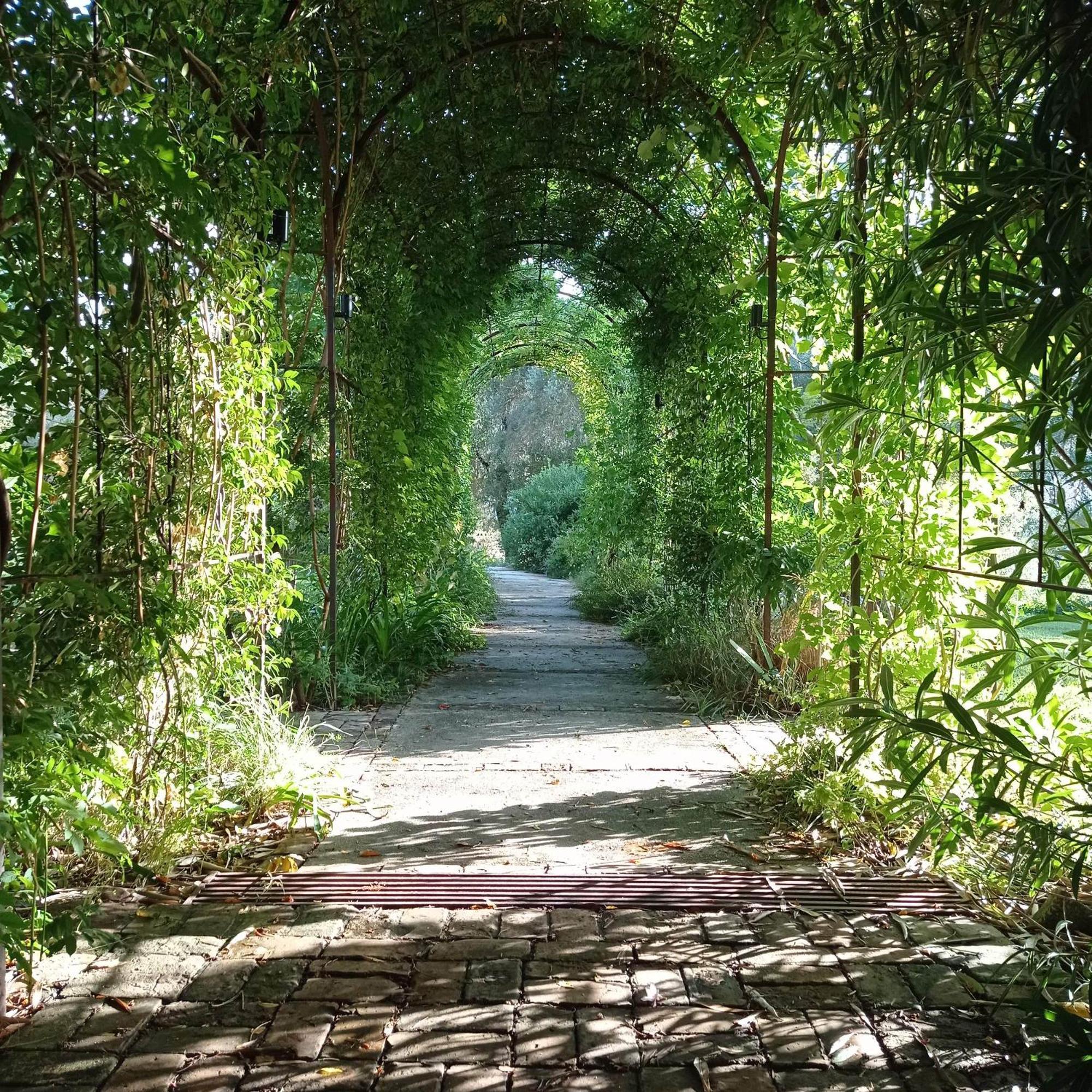 Villa Kefalomandouko Alepou 외부 사진